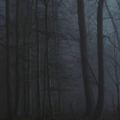 No Point In Living : Höst Utan Mig